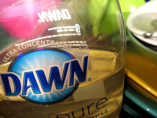 Dawn soap