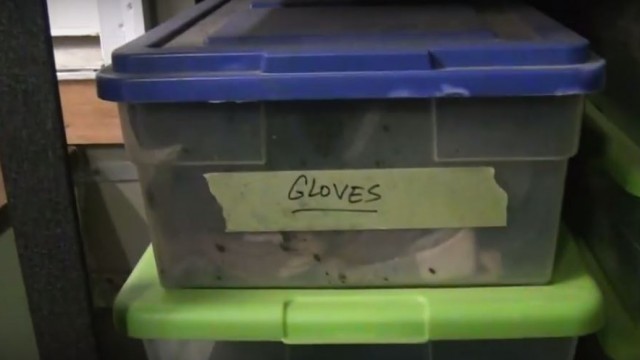 winter storm preparation