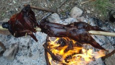 bushcraft food