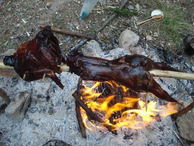 bushcraft food