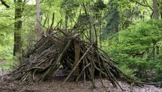 primitive shelter