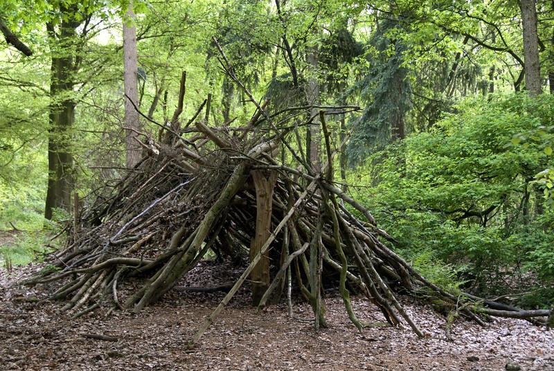 primitive shelter