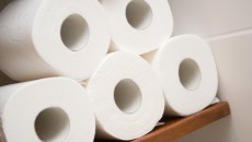 toilet paper