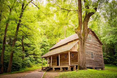 living off the grid in a cabin