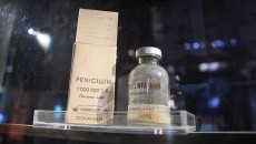 penicillin