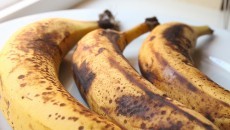 ripe bananas