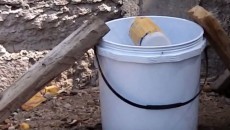 rodent trap
