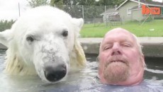 man and polar bear