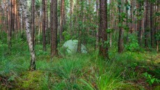 hidden shelter