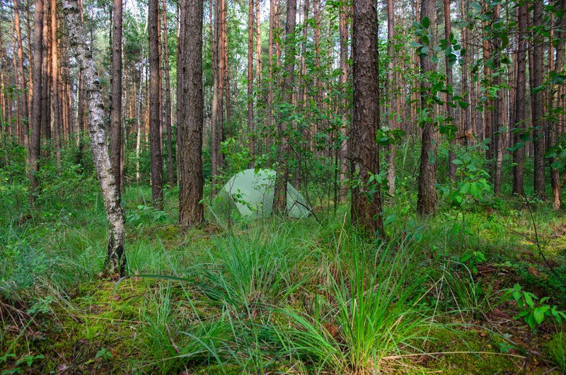 hidden shelter