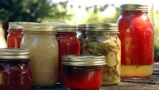 fermenting