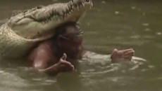 man and crocodile