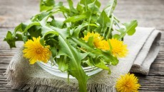 dandelion salad