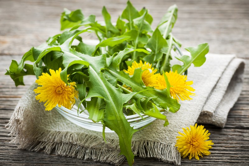 dandelion salad