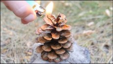 fire hack with a pinecone