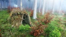 hut in the wilderness