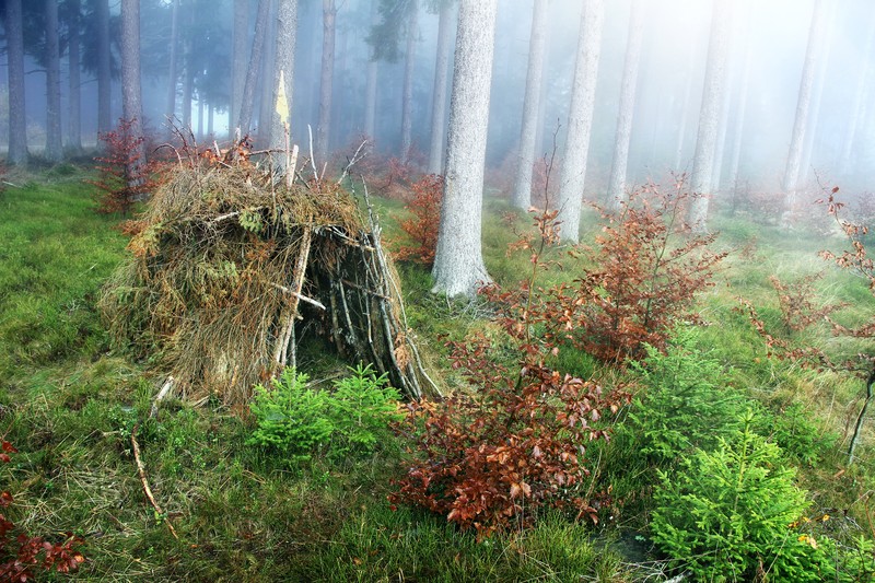 hut in the wilderness