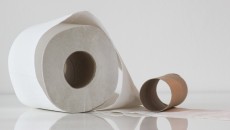 toilet paper roll