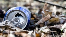 soda can in the woods