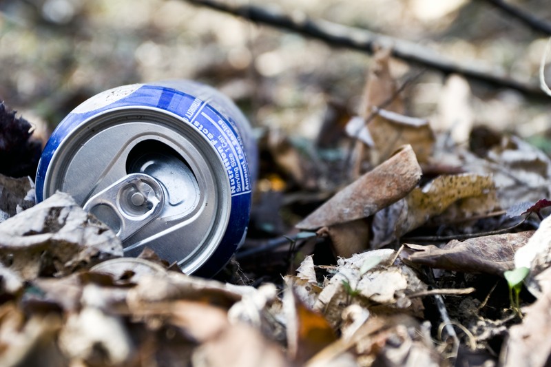 soda can in the woods