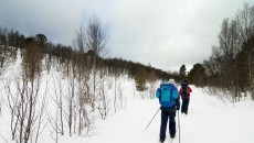 wintertime
