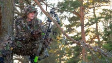 bow hunting