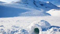 igloo in the snow