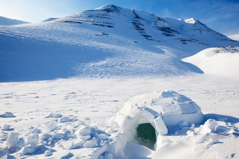 igloo in the snow