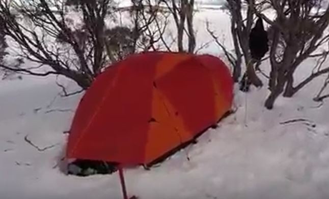 snow-tent