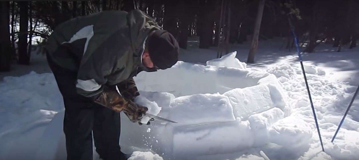 igloo shelter