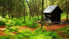 cabin-in-the-woods