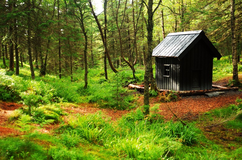 cabin-in-the-woods