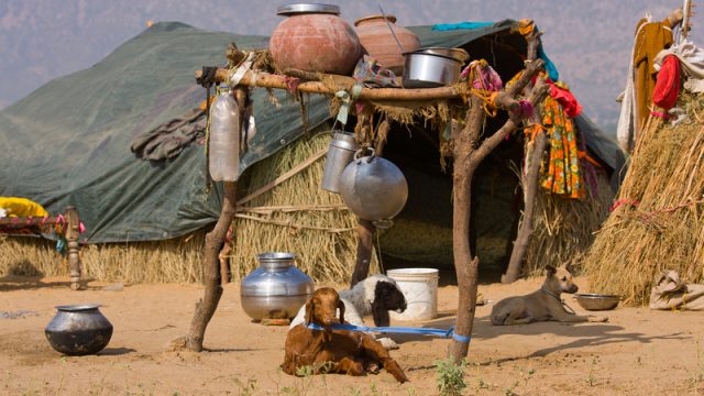 living off the grid tent supplies