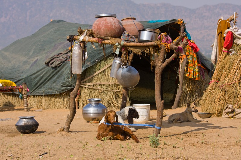 living off the grid tent supplies