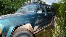 car going through the woods