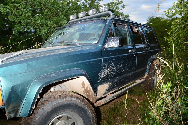 car going through the woods