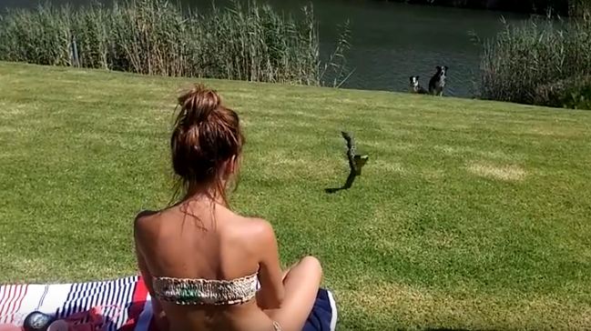 girl-catches-a-cobra