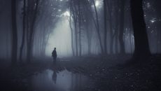 man-in-forest-in-the-fog