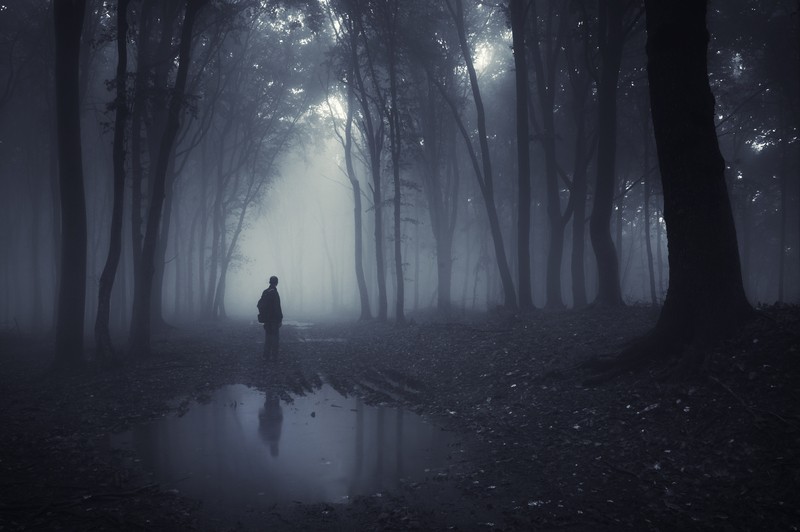 man-in-forest-in-the-fog