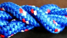 survival-knot