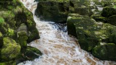 the strid