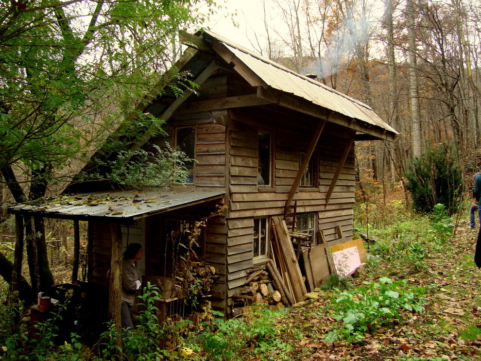 cabin in woods