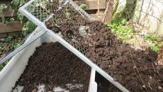 composting-garden