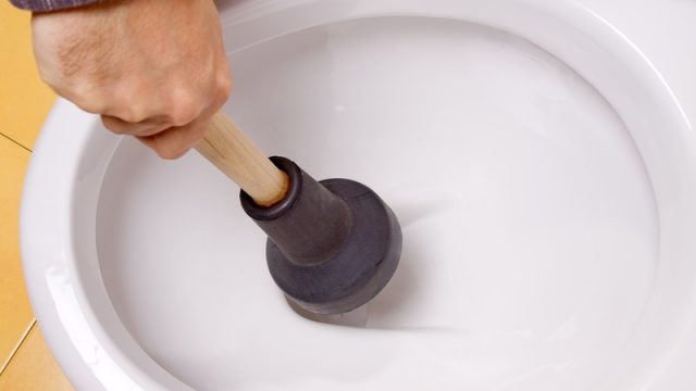 plunger in toilet