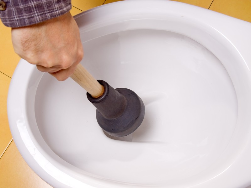 plunger in toilet