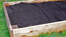 raised garden bed