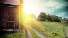 homestead at sunset