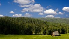 mountain-landscape-with-cabin-in-the-woods
