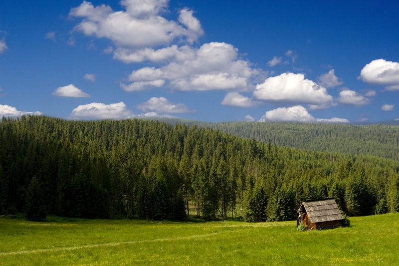 mountain-landscape-with-cabin-in-the-woods