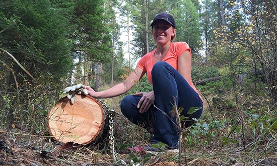 homesteader winching-trees